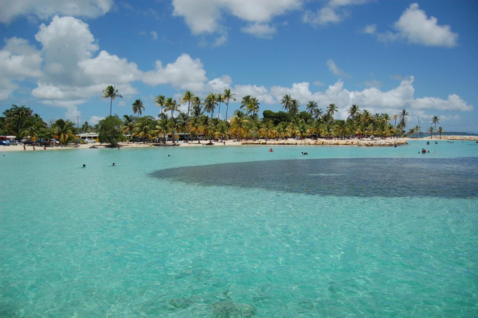 상트 안느 Couleurs Caraibes - Plage Et Tranquillite 아파트 외부 사진
